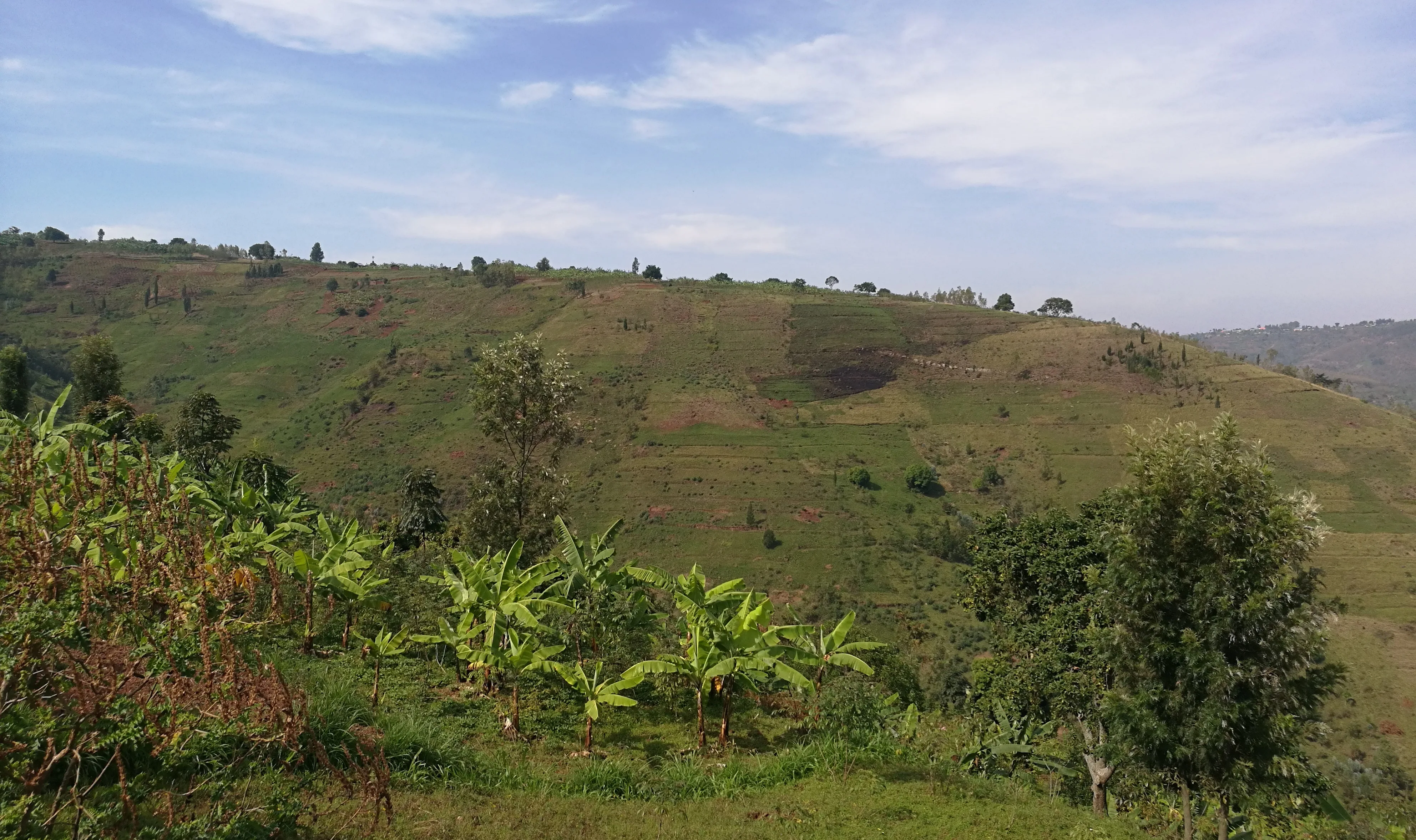 View of sky and land in Rwanda